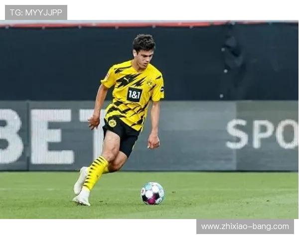 门兴力争签下雷纳球员 本人愿意加盟并成为球队核心 门兴力争签下雷纳球员 本人愿意加盟并成为球队核心